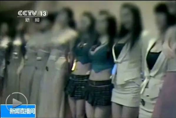 日本黑熊vs泰森视频直播,一场不可能的对决,为什么全网都在聊? 日本黑熊vs泰森视频直播,一场不可能的对决,为什么全网都在聊?